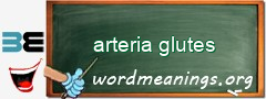 WordMeaning blackboard for arteria glutes